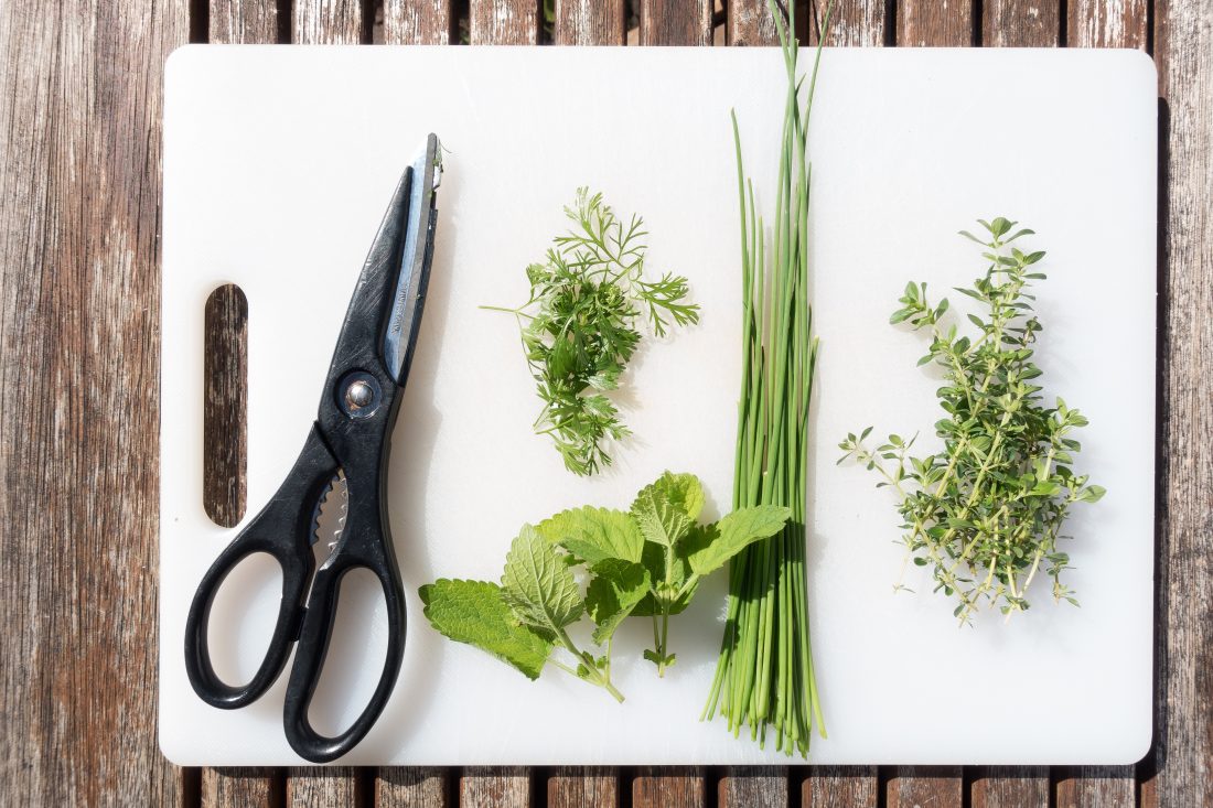Free stock image of Cooking Spices & Herbs