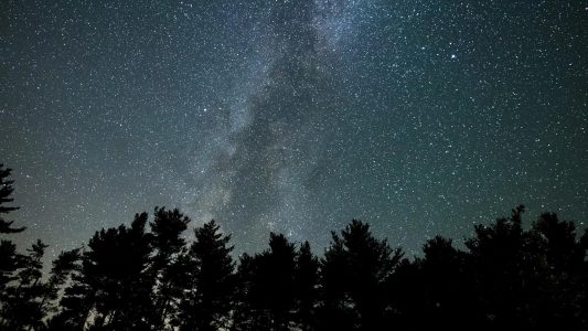Milky Way Pan Over Tree Silhouettes
