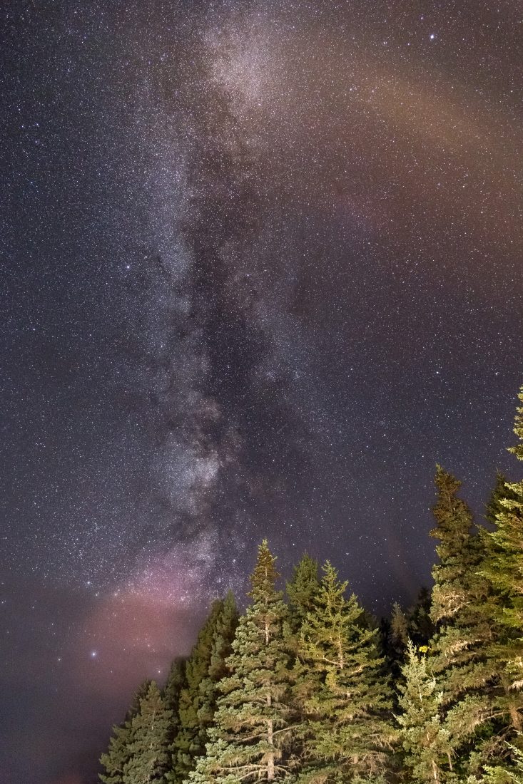 Free stock image of Milky Way Forest