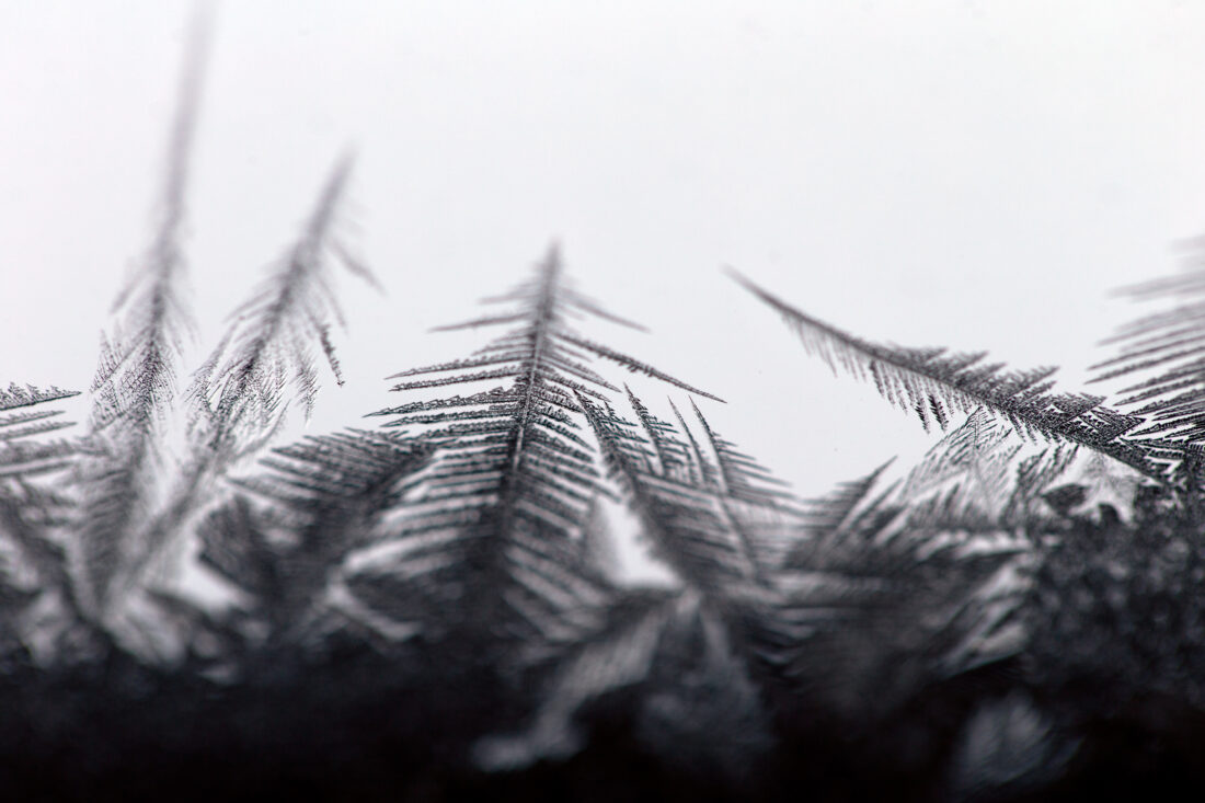 Free stock image of Macro Frost Window