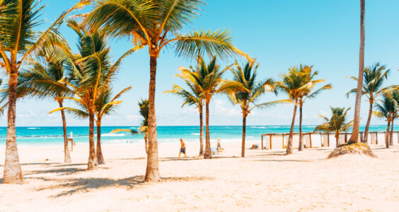 Tropical Beach Island